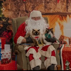 Meet your Posher, Tasha